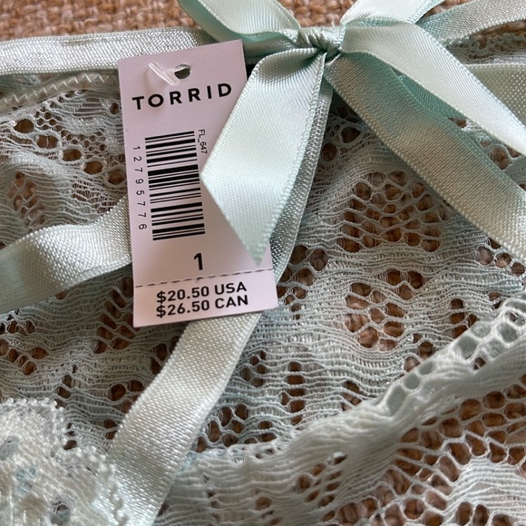 CLOSET FLASH SALE! $5 NWT! 1X torrid Curve Simply Lace Hipster Bow Cage Back - Picture 4 of 6